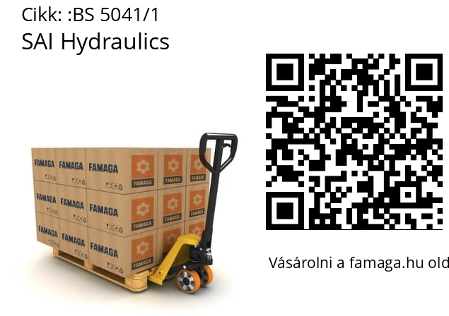   SAI Hydraulics BS 5041/1