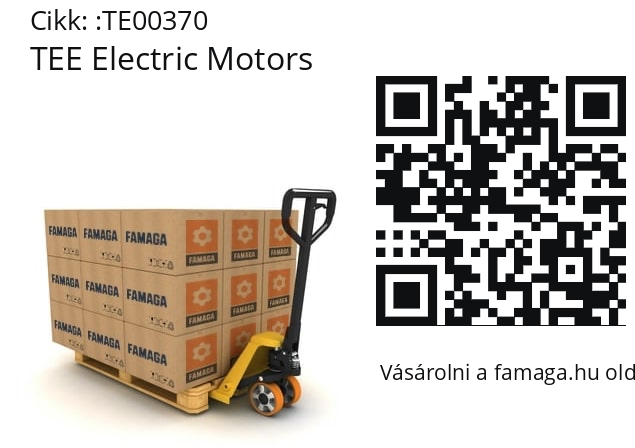   TEE Electric Motors TE00370